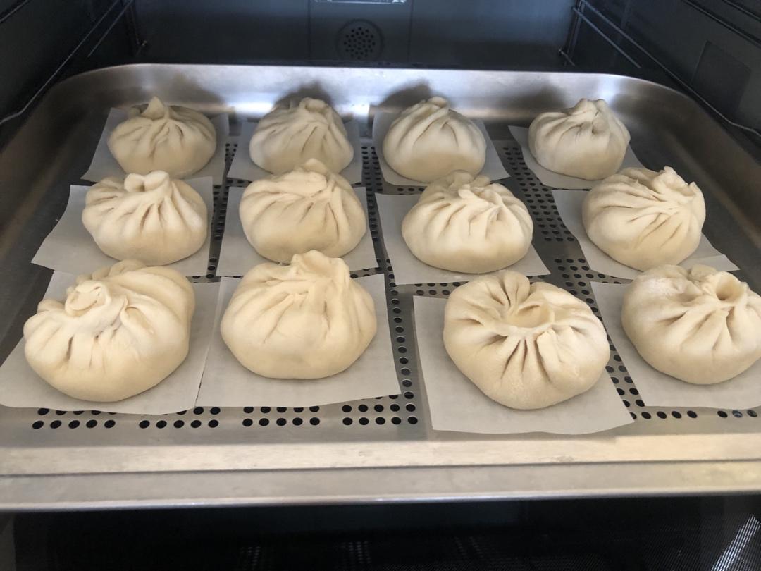 好吃多汁的肉包子肉馒头【步骤超详细】