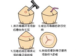 ❣️（超级详细）开椰子方法✝️自制椰蓉✝️椰汁✝️椰子油❣️的做法 步骤10