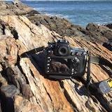 手机用户1967_vce1