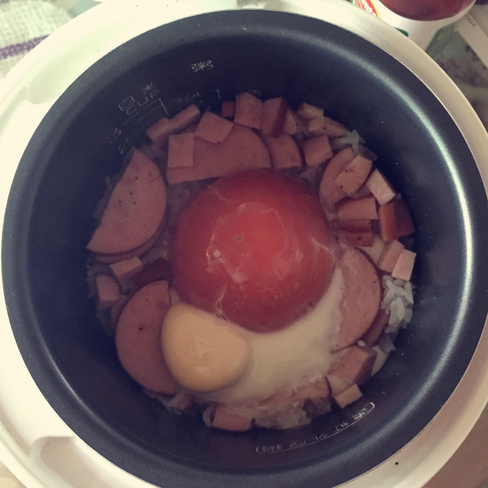 寝室简易电饭锅整个番茄饭（香肠版）