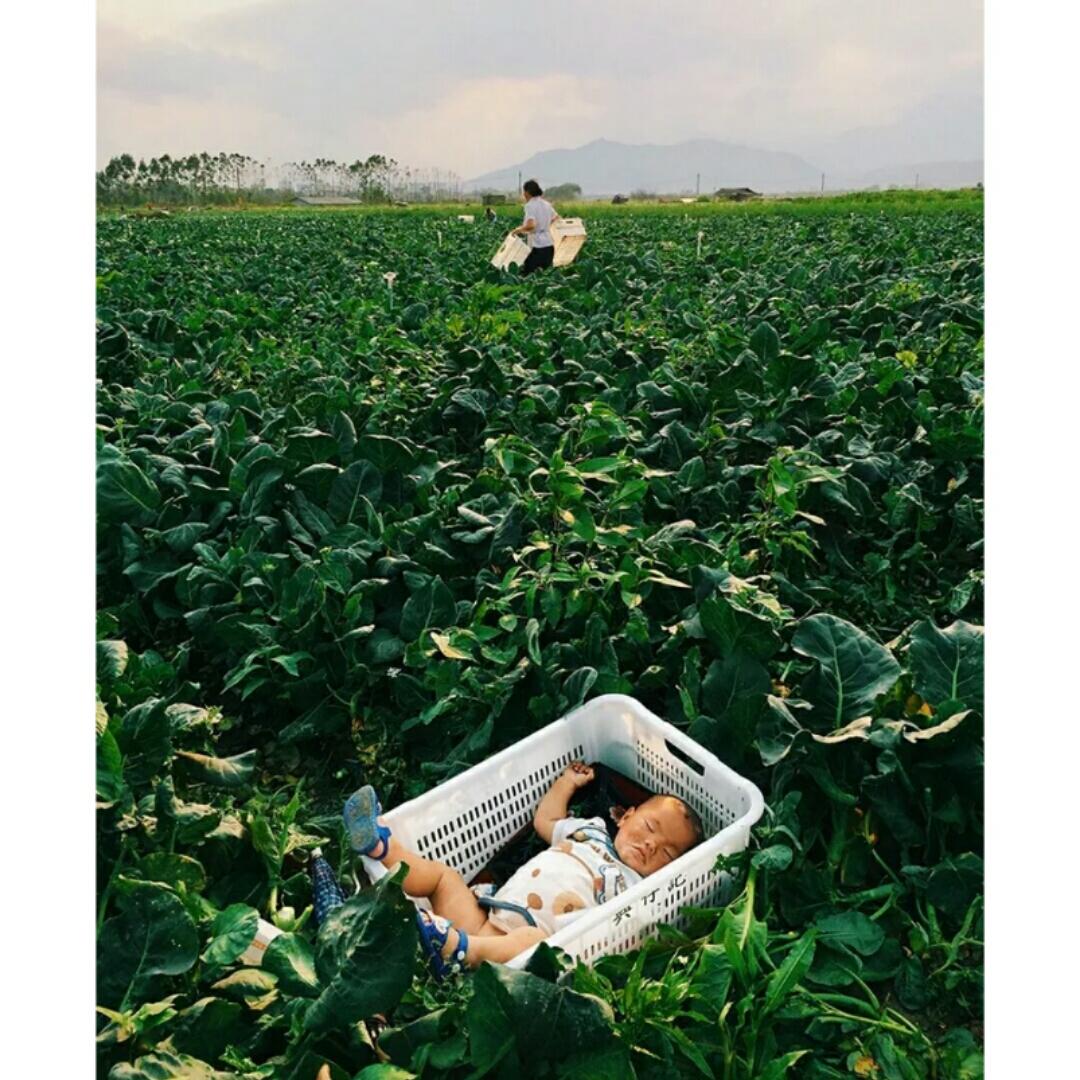 陈可可真的会烧菜