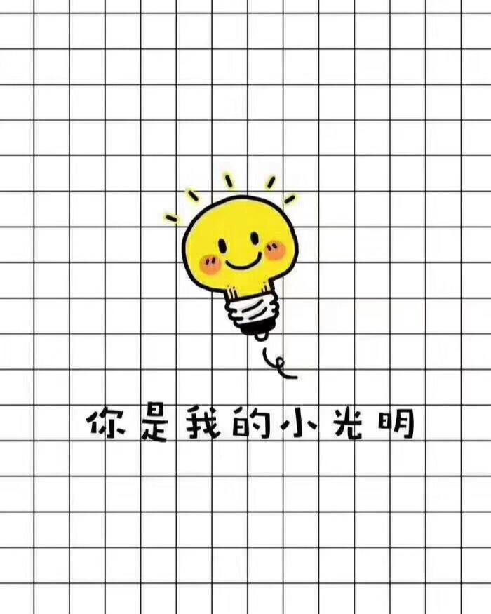 红烧肉沫茄子