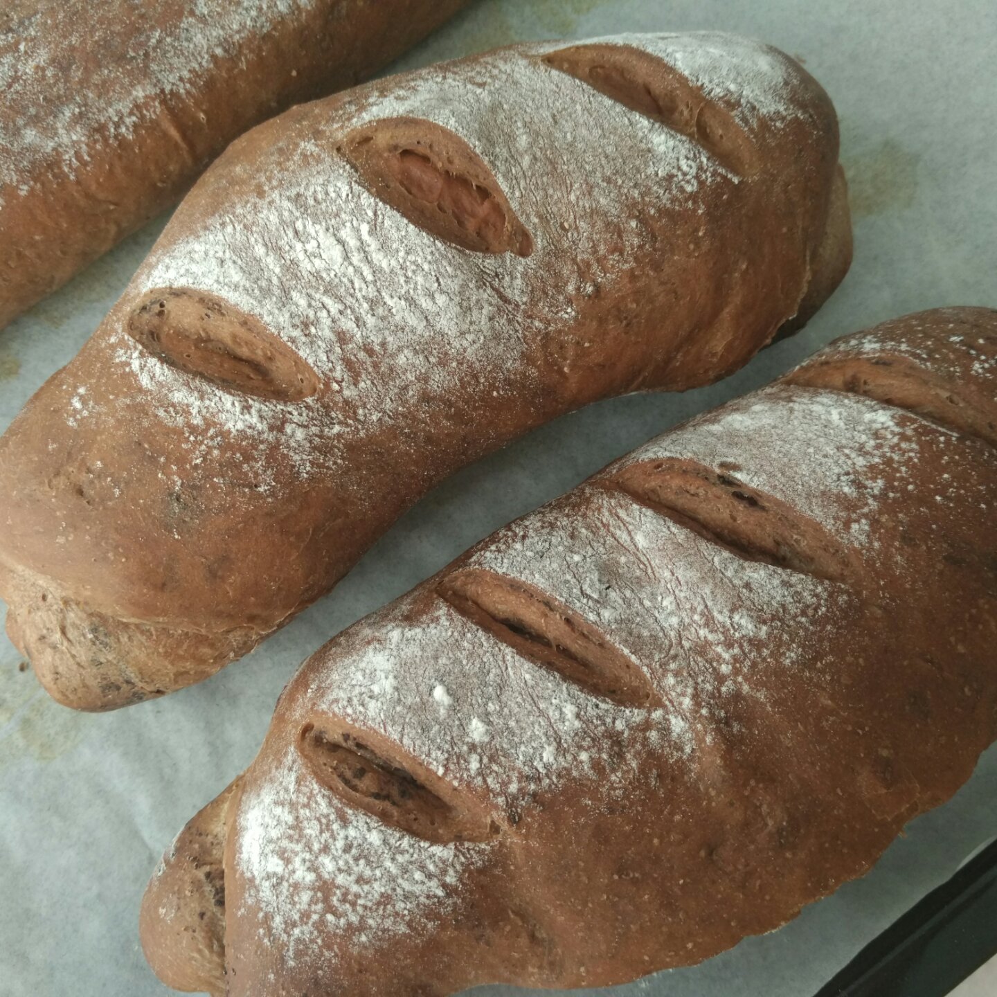 巧克力软欧包(无糖)