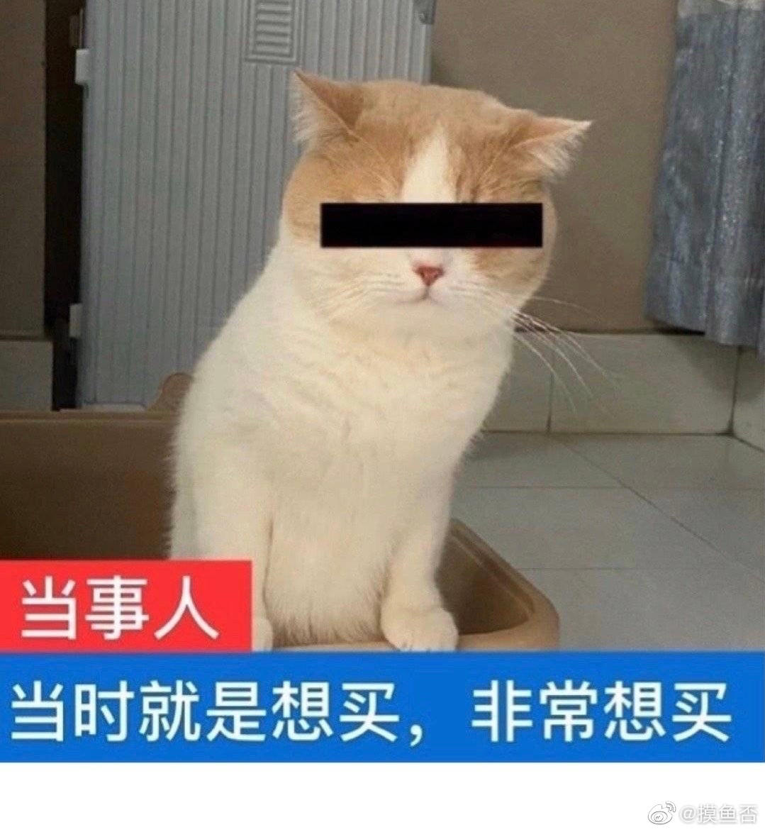 别给我来这套