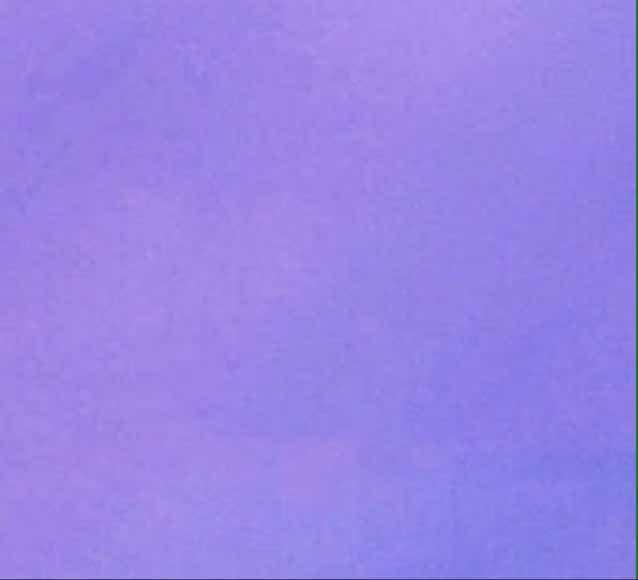 木木1224
