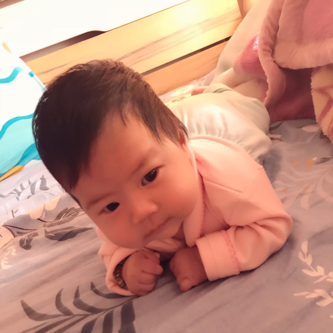 小fat貓
