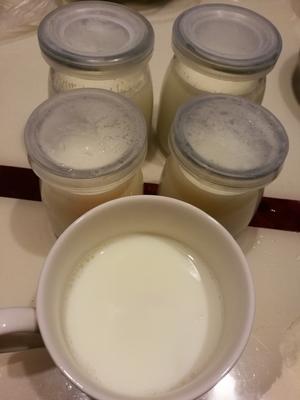脱脂奶粉做酸奶(养生壶版)的做法 步骤2
