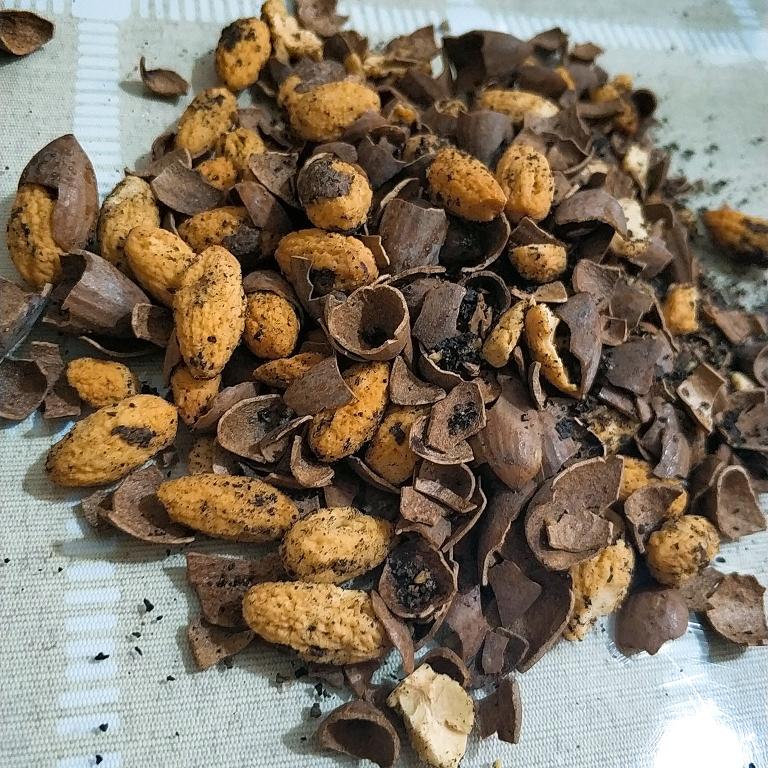 小美剥香榧子的做法