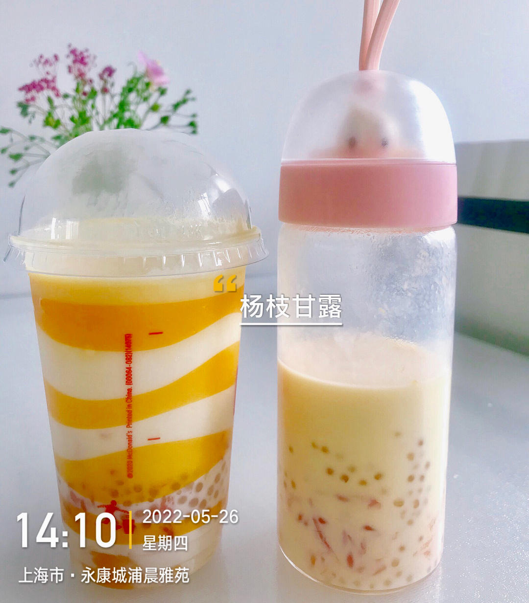 杨枝甘露 家庭版0失败 新手易学