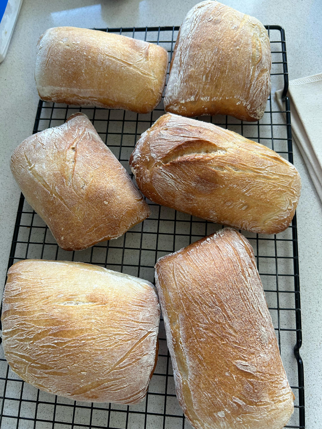 恰巴塔面包  Ciabatta