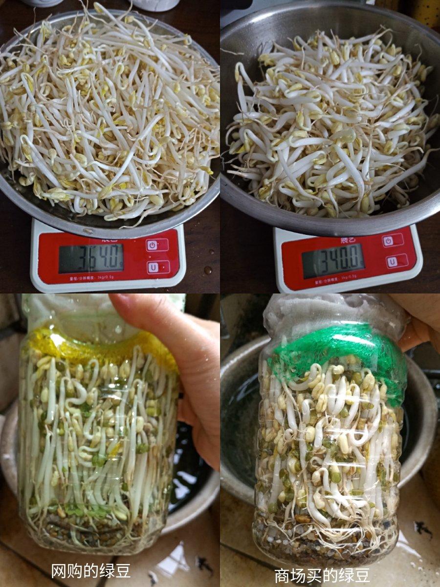 自发豆芽（可乐瓶发豆芽0失败！）