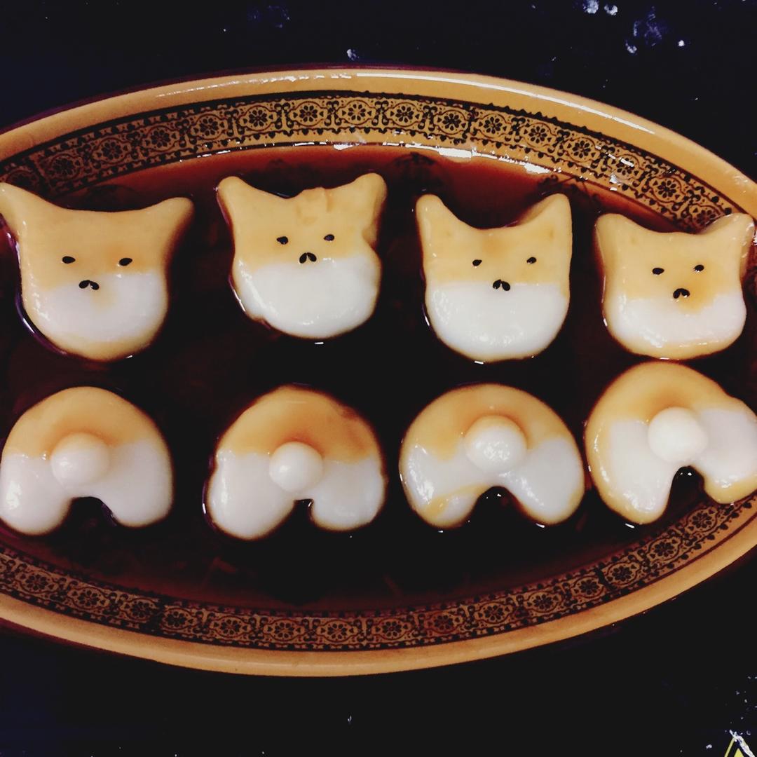 巨萌的柴犬团子