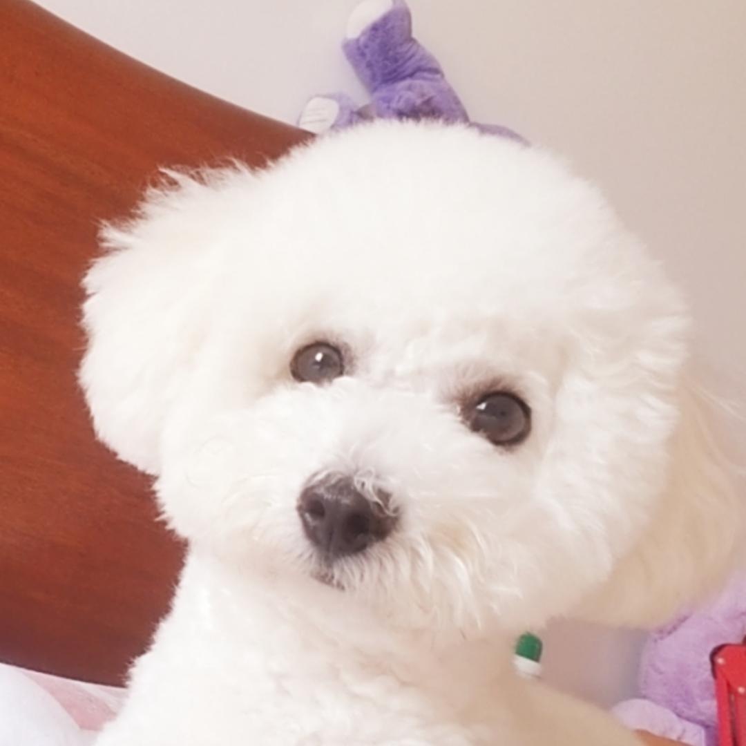 我爱Connie