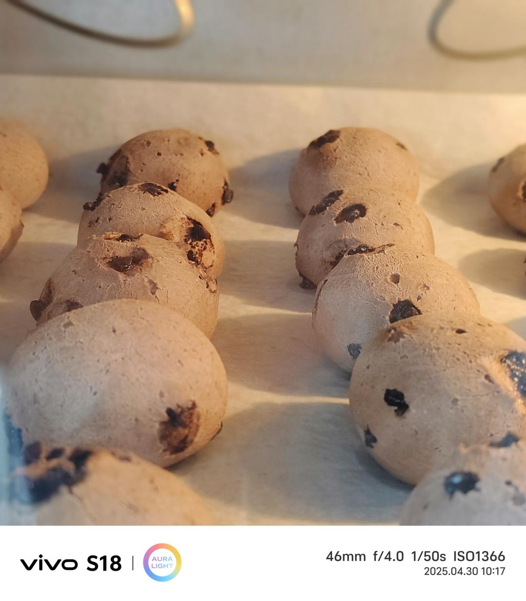 人人都爱的恐龙蛋！【巧克力豆豆麻薯球】