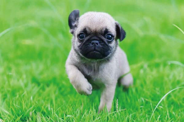 下厨房用户_60p5a