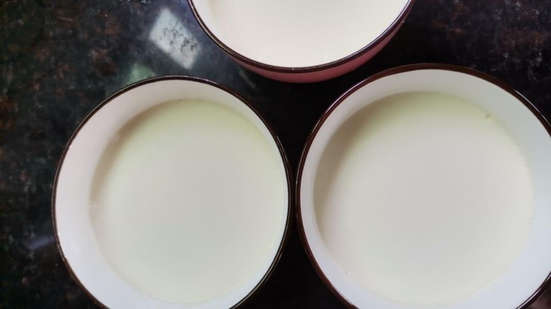 双皮奶（简版）