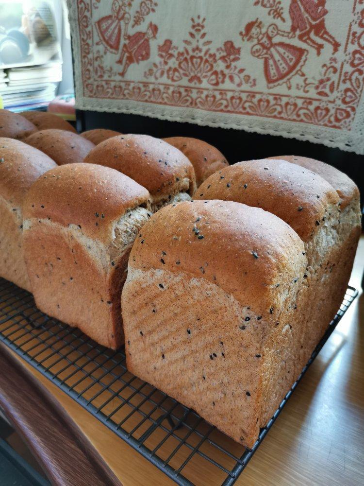 顺势而为 波兰小黑吐司