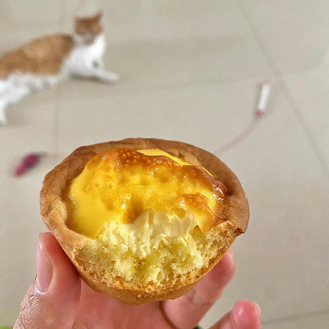 ‼️全网都在做🔥德式布丁塔（北鼎烤箱食谱）