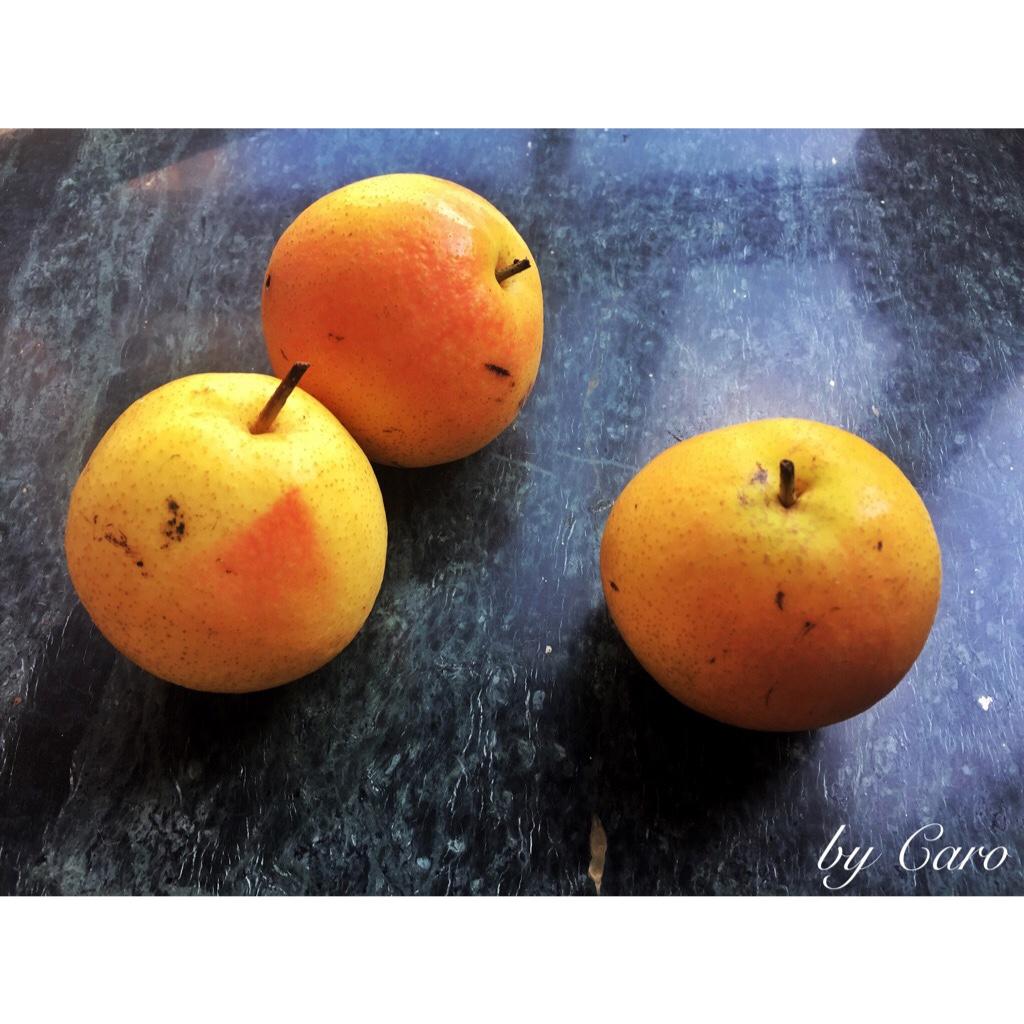 瓜果蔬菜大比拼