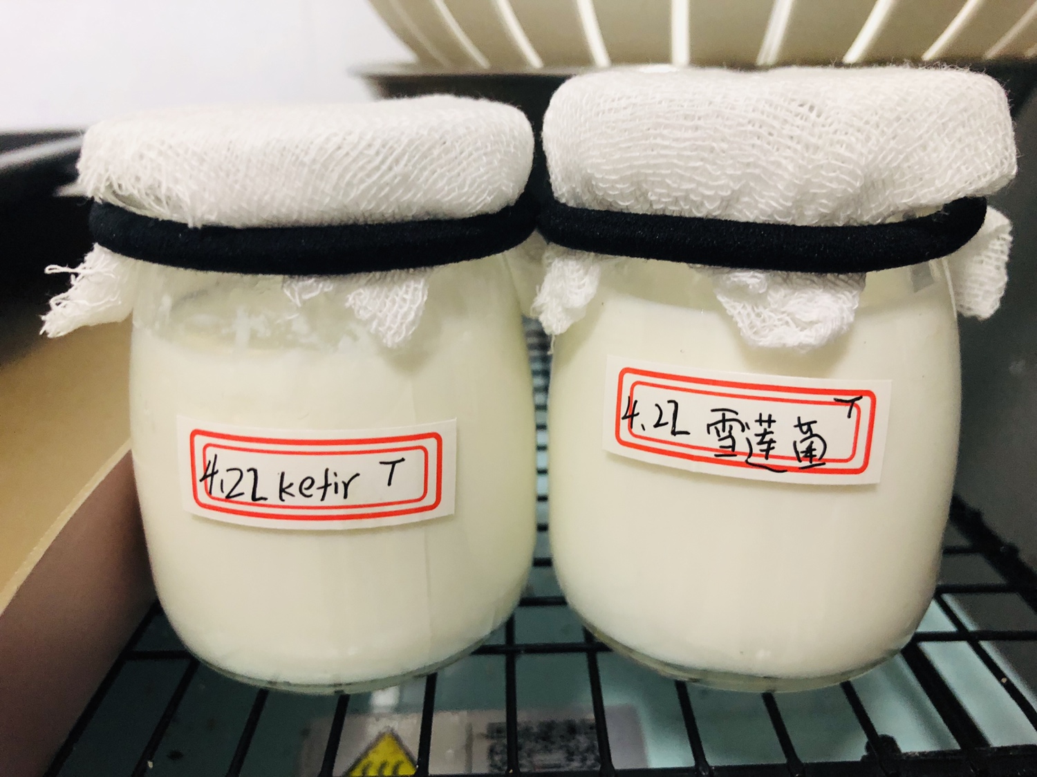 菌种喂养酸奶的做法