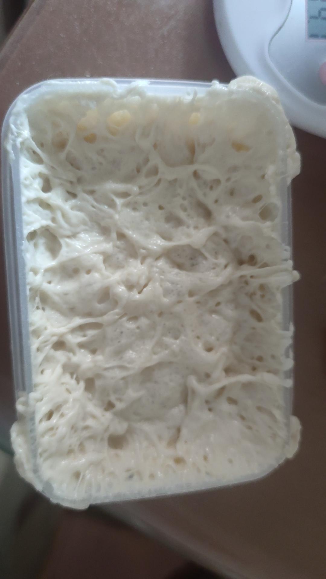 波兰种牛奶吐司