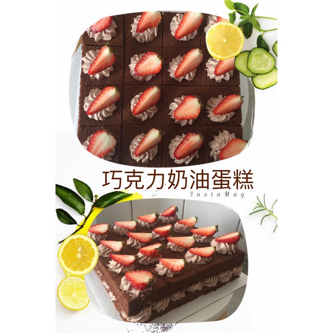 巧克力裸蛋糕