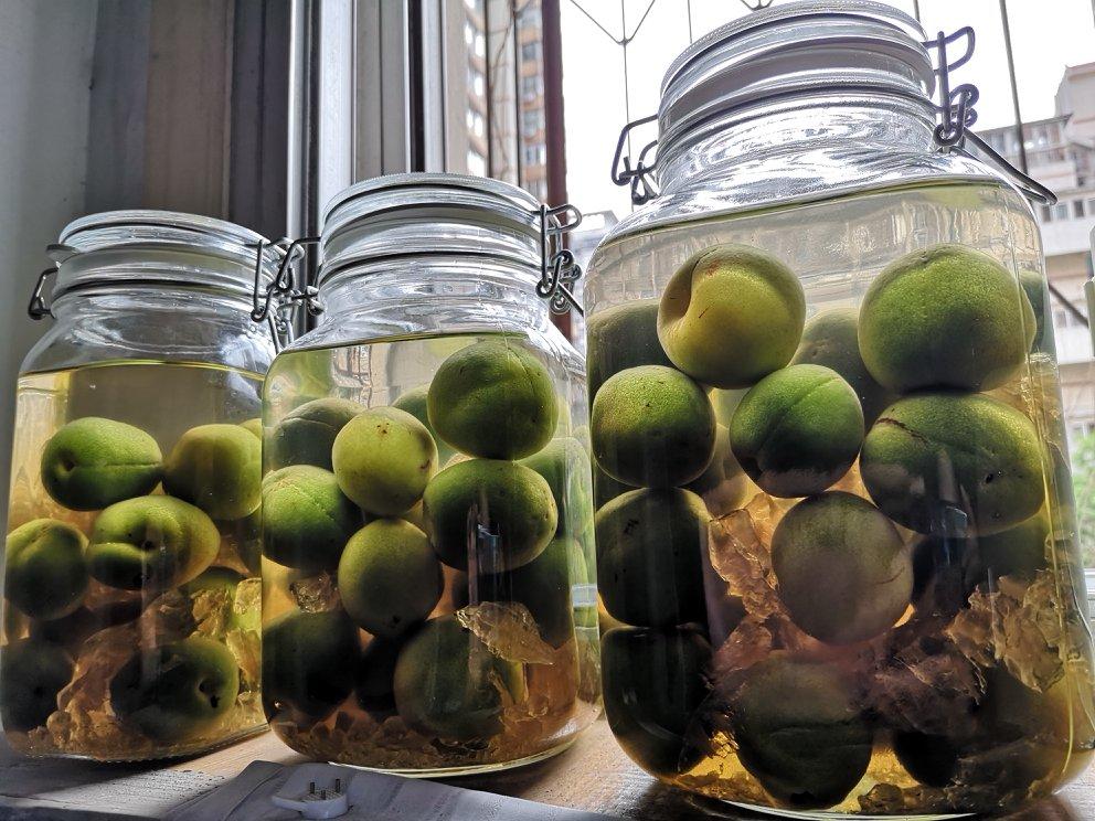 【青梅酒】梅子的沉醉时光（已填坑）