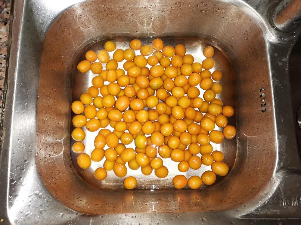超级有效的止咳食物—冰糖金桔