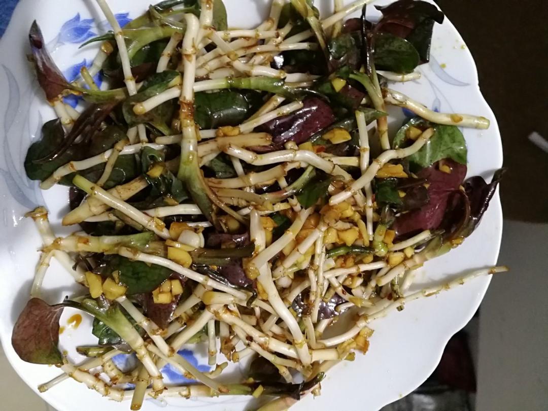 凉拌折耳根(鱼腥草)
