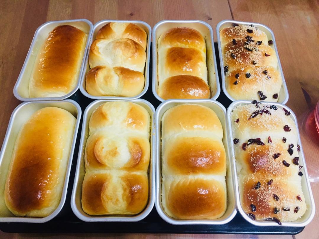 汉堡胚（中种法）