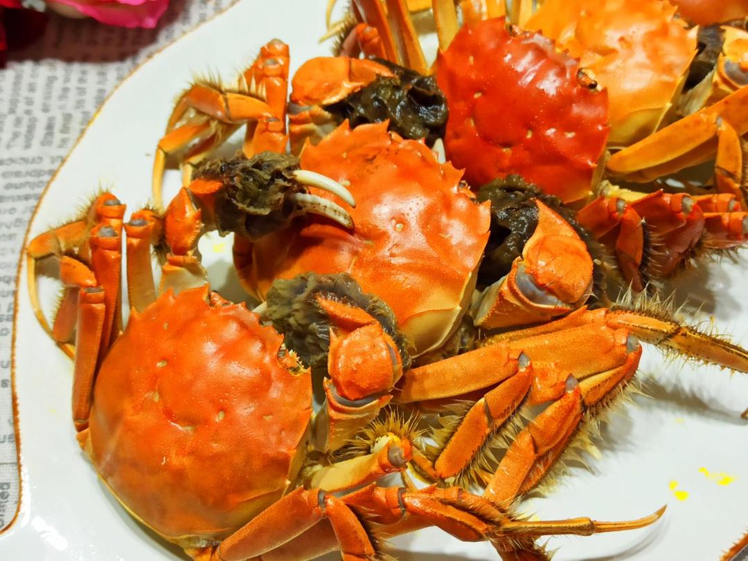 大海的礼物🐚