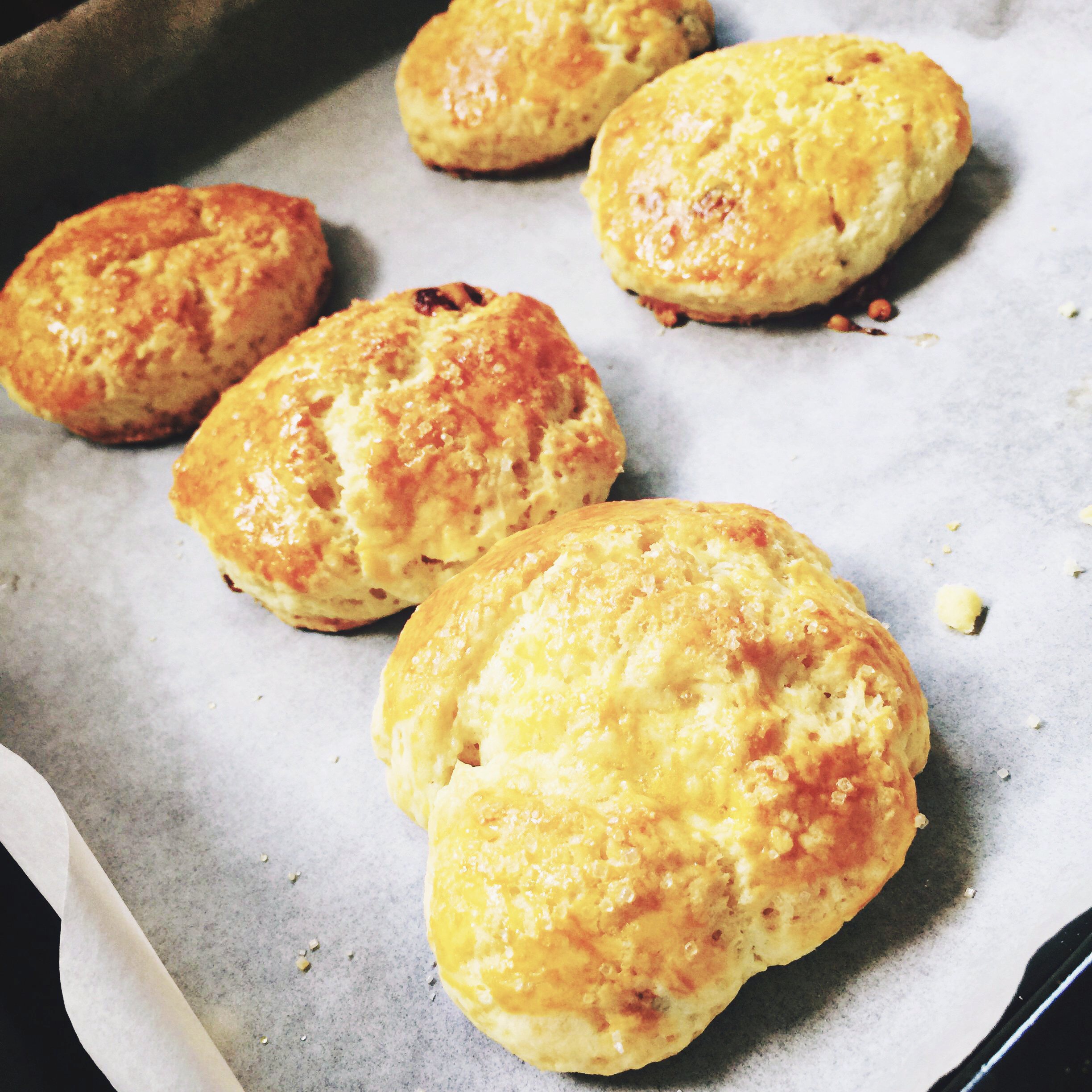 多口味奶油司康