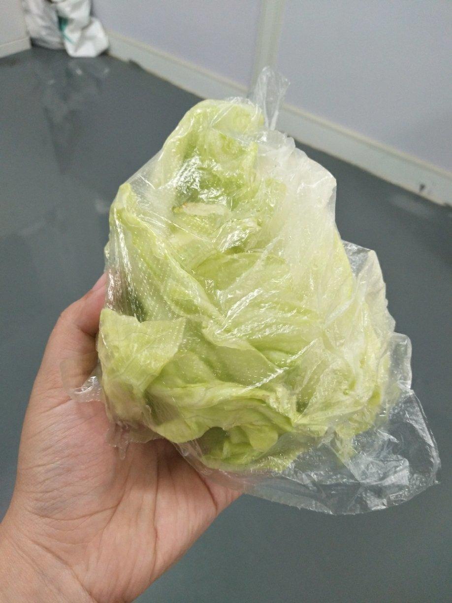 SHRENA的减肥午餐记2019