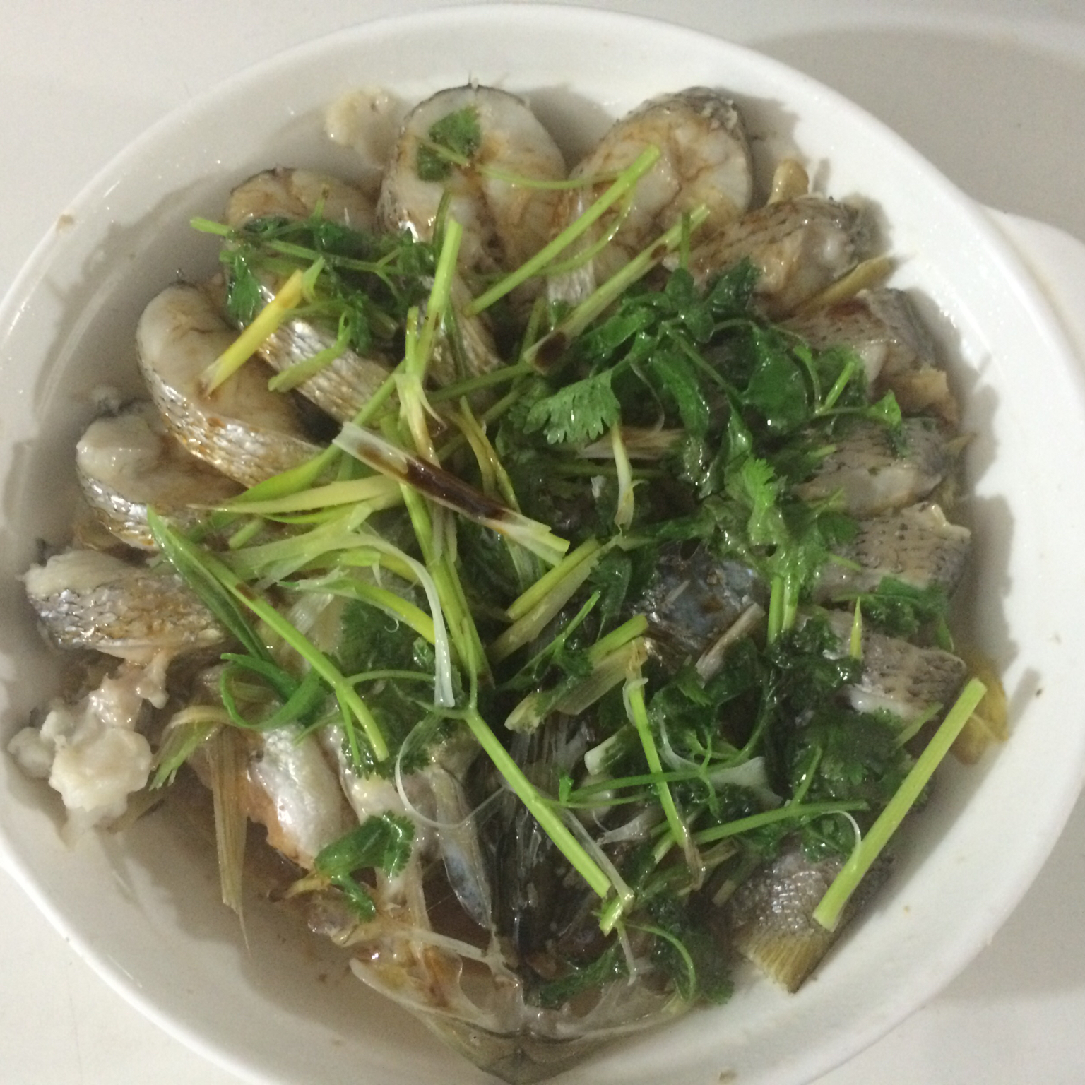 孔雀开屏鱼