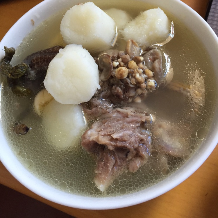 石斛老鸭汤