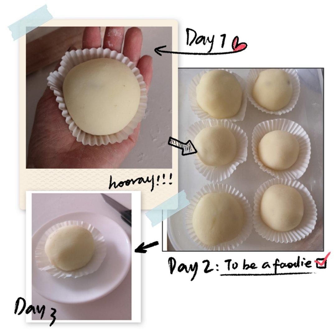 腹黑白胖子——奥利奥雪媚娘