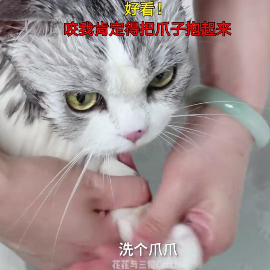 萝卜蔫了