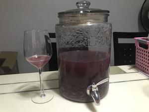 自酿葡萄酒（含白葡萄酒做法）的做法 步骤11