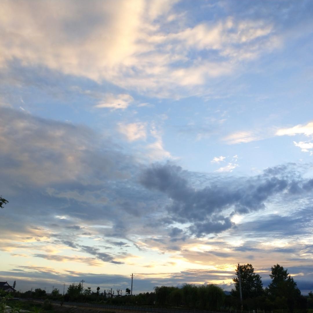 手机用户4847_jdlv