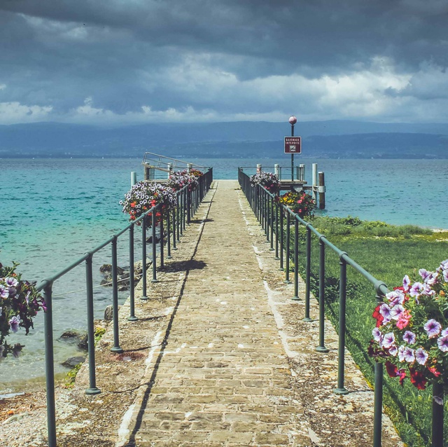 等待仙人掌开花