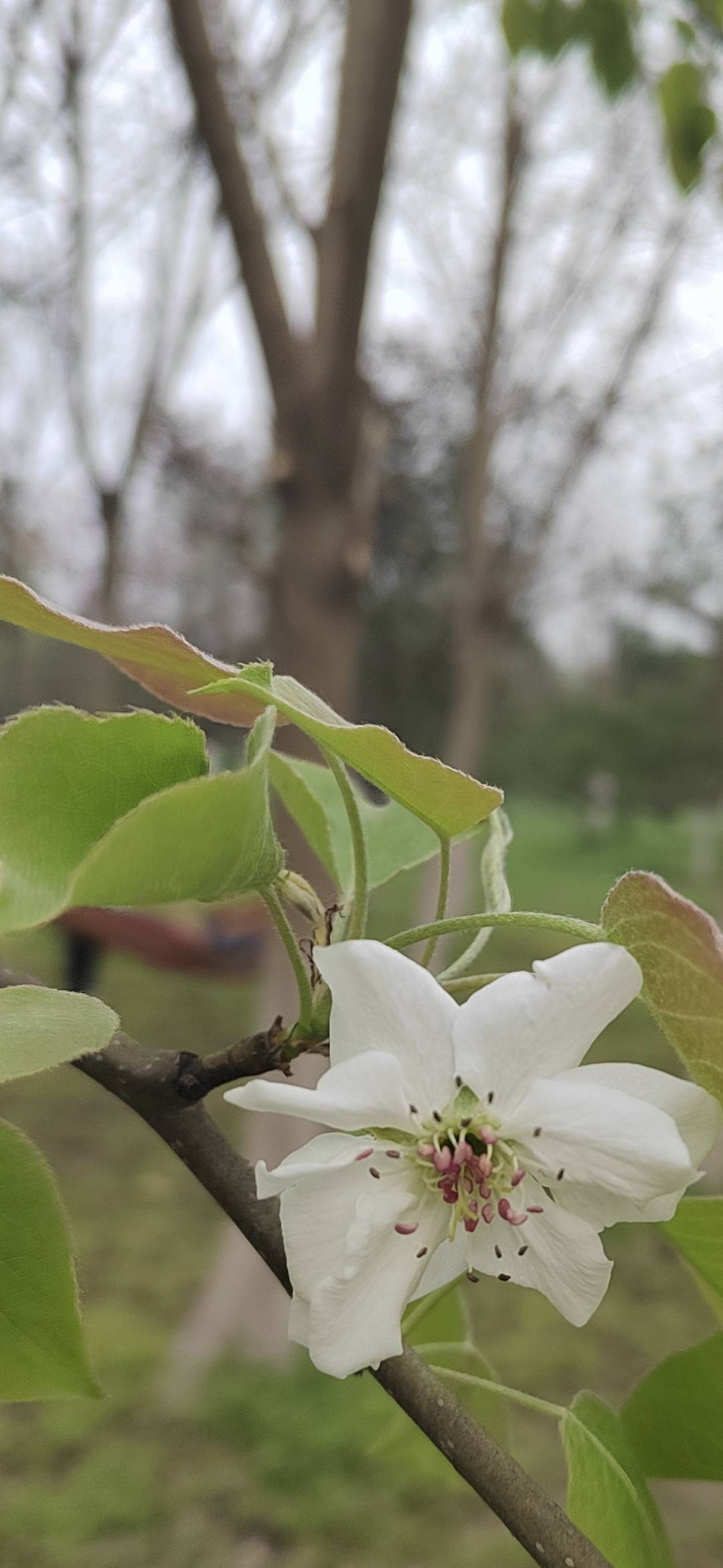 下厨房用户_47nwg