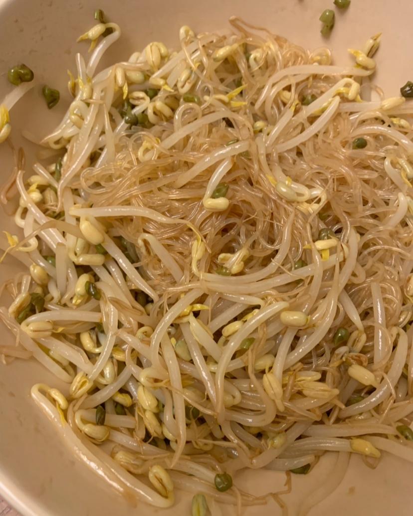 豆芽拌粉丝