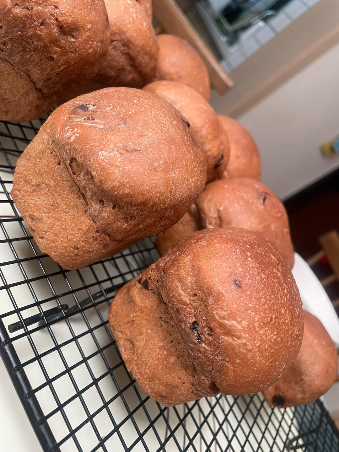 爆浆巧克力餐包
（波兰种）