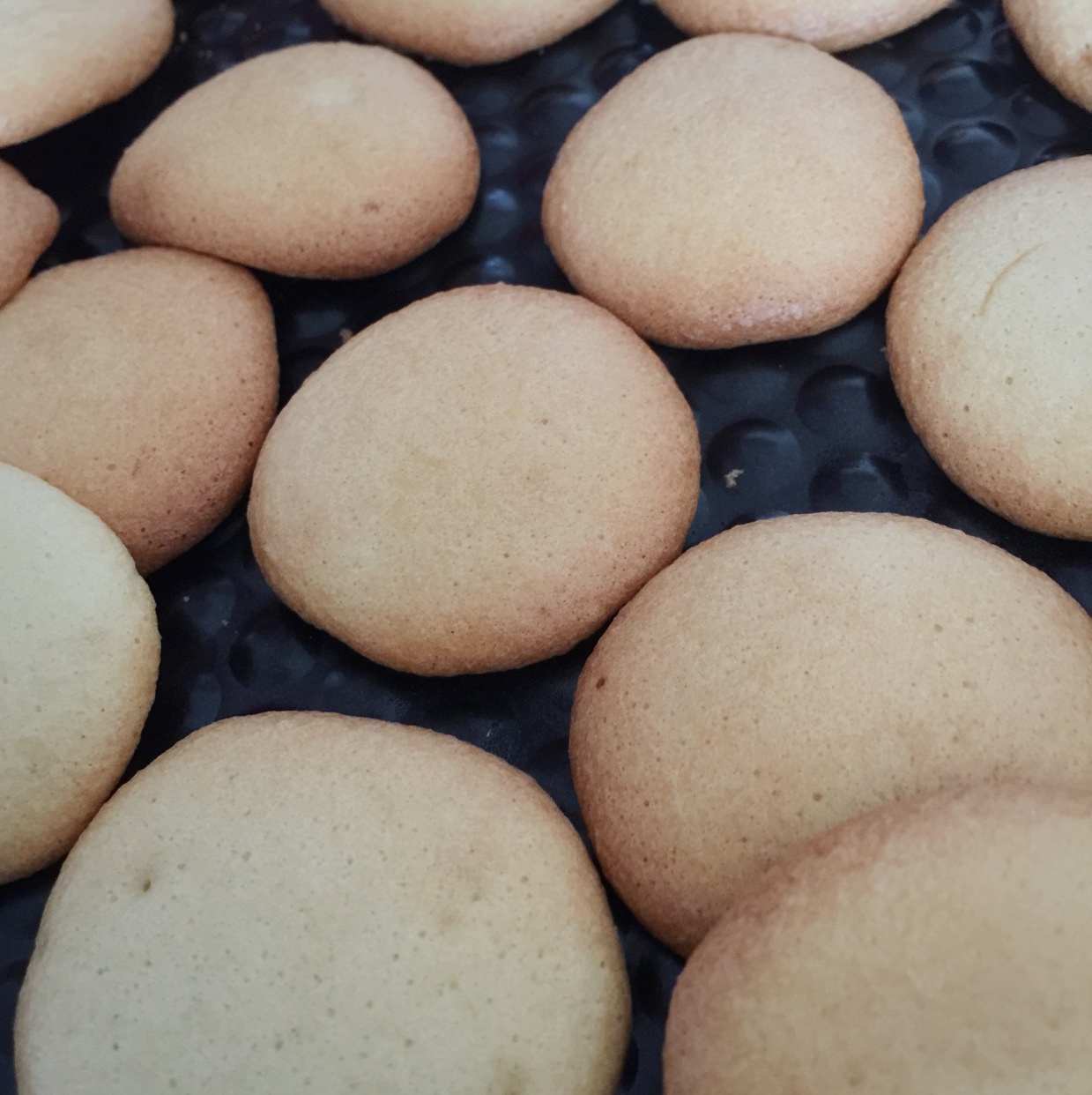 酥脆蛋香小饼干