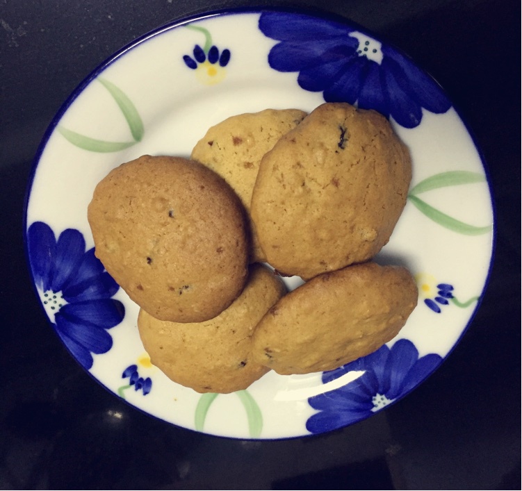 燕麦葡萄甜饼