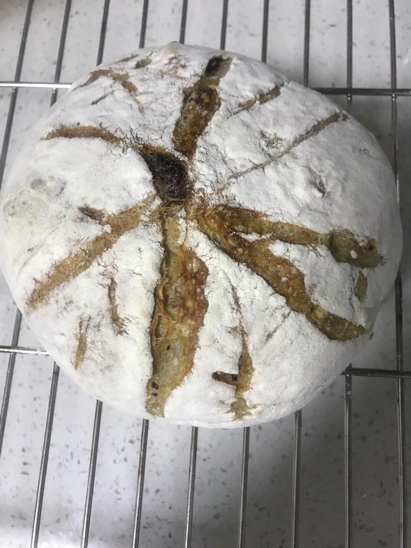 不揉也能出膜的50%天然酵种全麦欧包配方【洞次打次包】-包含如何提高面团结构面筋形成已经超级整形大法