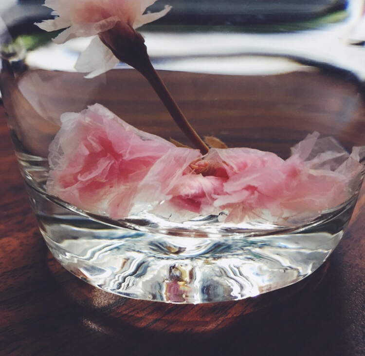 樱花茶