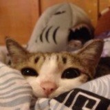 689要拥有绝对味觉