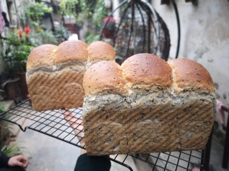 金大旺的黑芝麻吐司