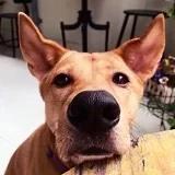 JLO_Loves_Food
